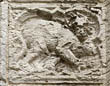 Panel 14:11 - Quadrupedal hybrid (quite eroded)